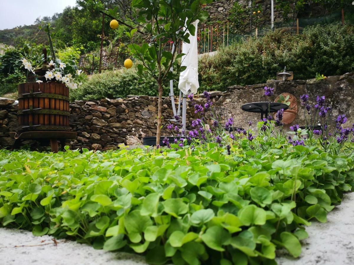 Il Giardino Di Riomaggiore Exterior photo
